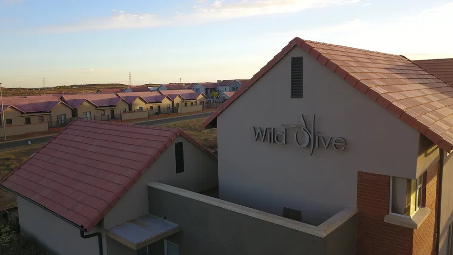 Wild Olive Estate